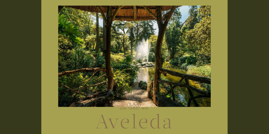 São Valentim Quinta da Aveleda|Viva o Vinho