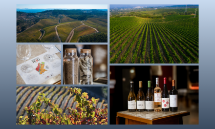 Serras é novo terroir da região dos Vinhos do Tejo