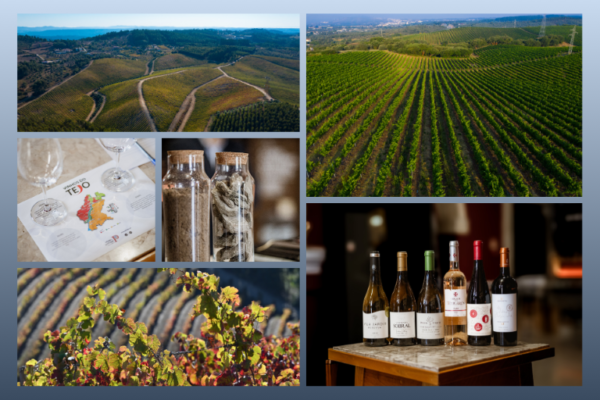 Serras novo terroir dos Vinhos do Tejo|Viva o Vinho