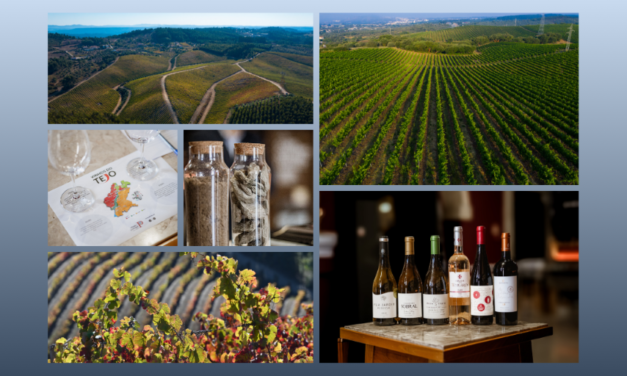 Serras é novo terroir da região dos Vinhos do Tejo