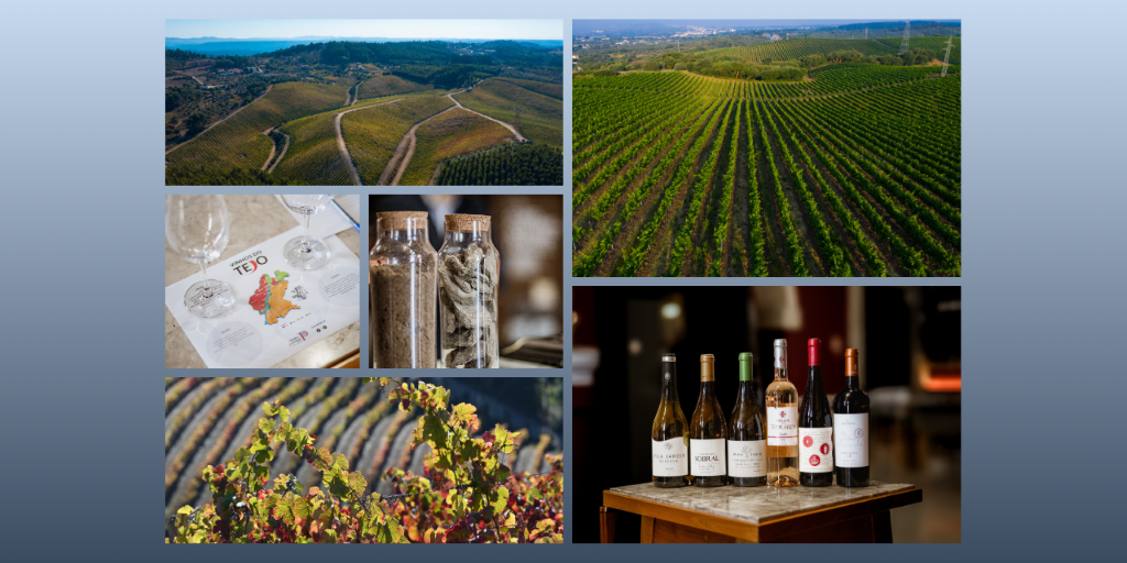Serras é novo terroir da região dos Vinhos do Tejo