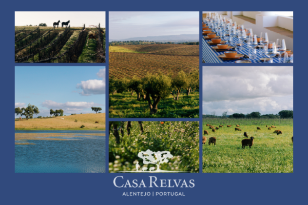 Casa Relvas Rota da Biodiversidade|Viva o Vinho