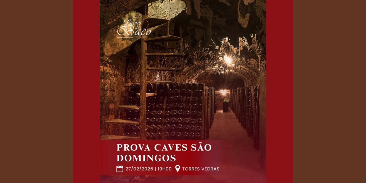 Prova Caves Solar S. Domingos|Viva o Vinho