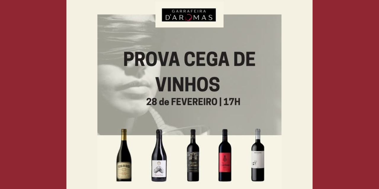 Prova Cega Vinhos Tinto|Viva o Vinho