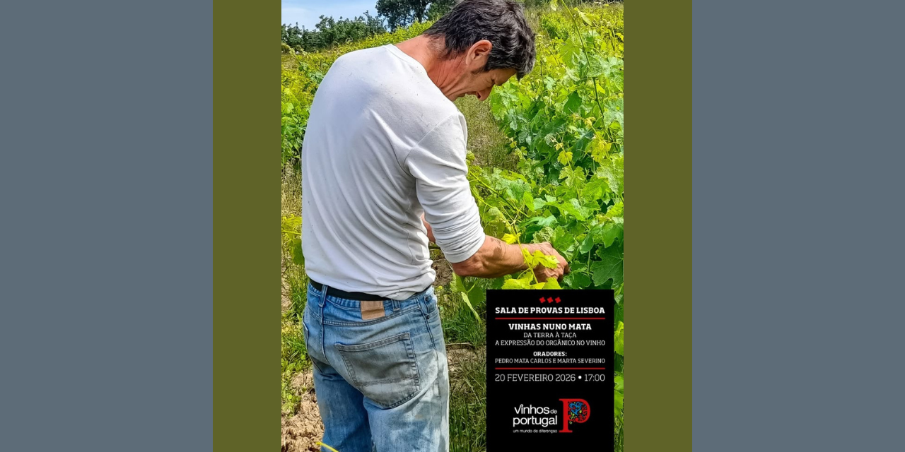 Prova de Vinhos Nunes Mata|Viva o Vinho