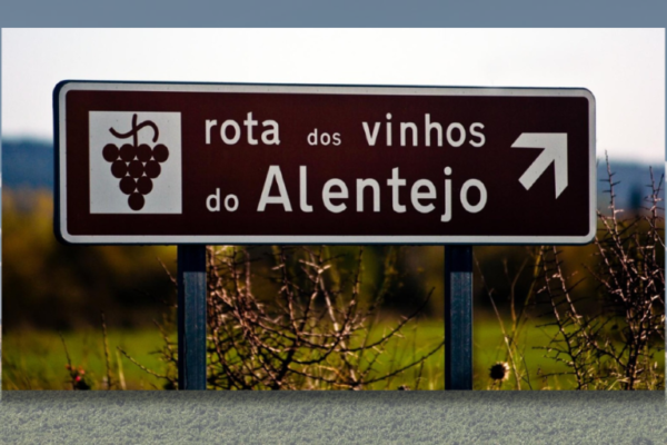 Vinhos do Alentejo provas BTL|Viva o Vinho