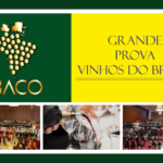 11ª Grande Prova Vinhos do Brasil reúne recorde de mais de 1,2 mil amostras