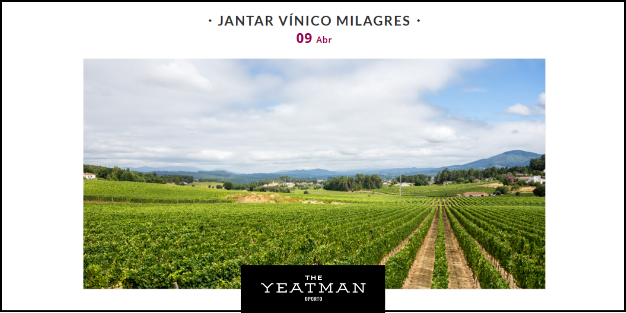 Jantarde Vínico Milagres|Viva o Vinho