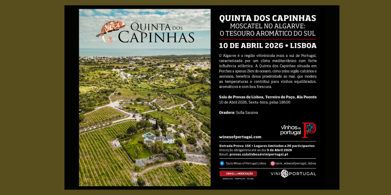 Prova Quinta dos Capinhas|Viva o Vinho