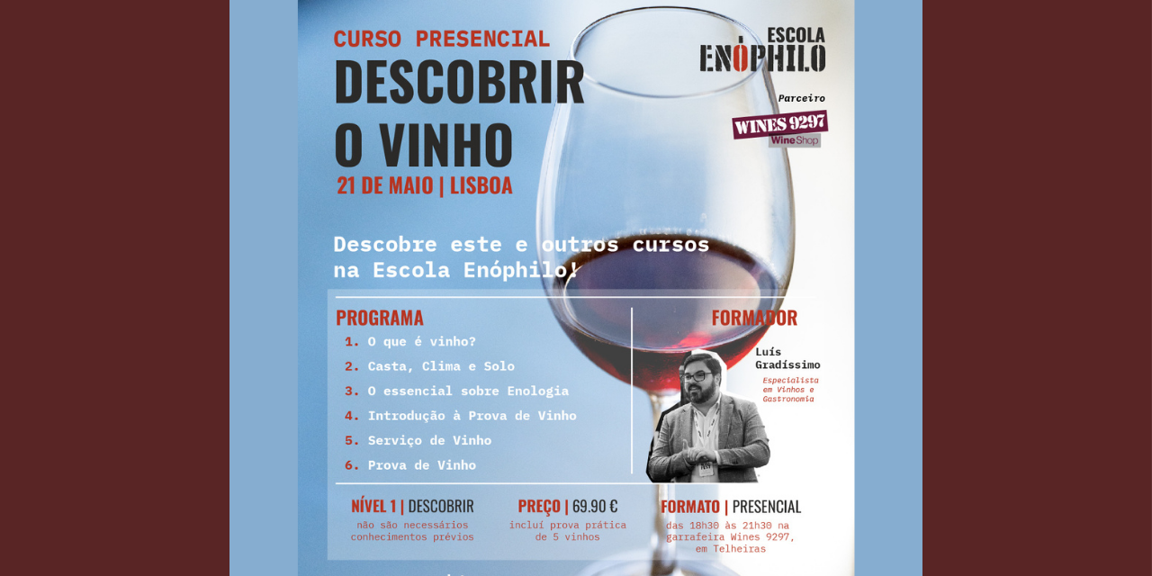 Descobrir o Vinho 1|Viva o Vinho