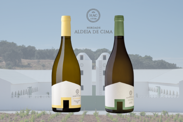 Lançamento Herdade Aldeia de Cima|Viva o Vinho
