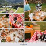 “Merenda na Vinha” regressa à Quinta do Bomfim com novo menu de piquenique