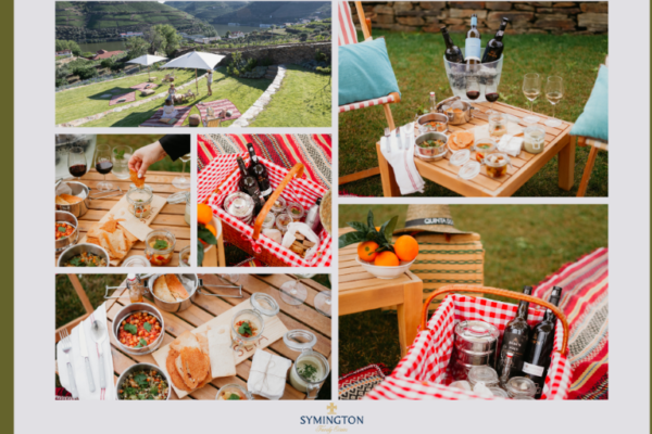 Merenda na Vinha|Viva o Vinho