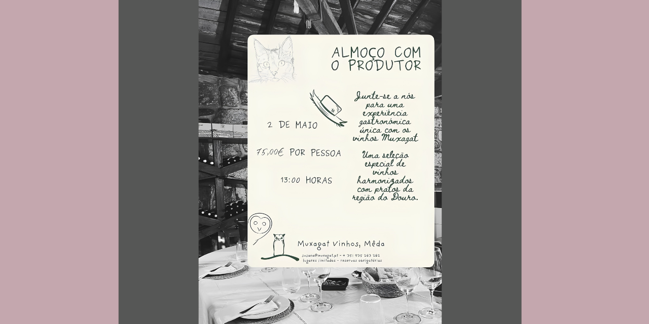 Muxagat Experience Almoço|Viva o Vinho