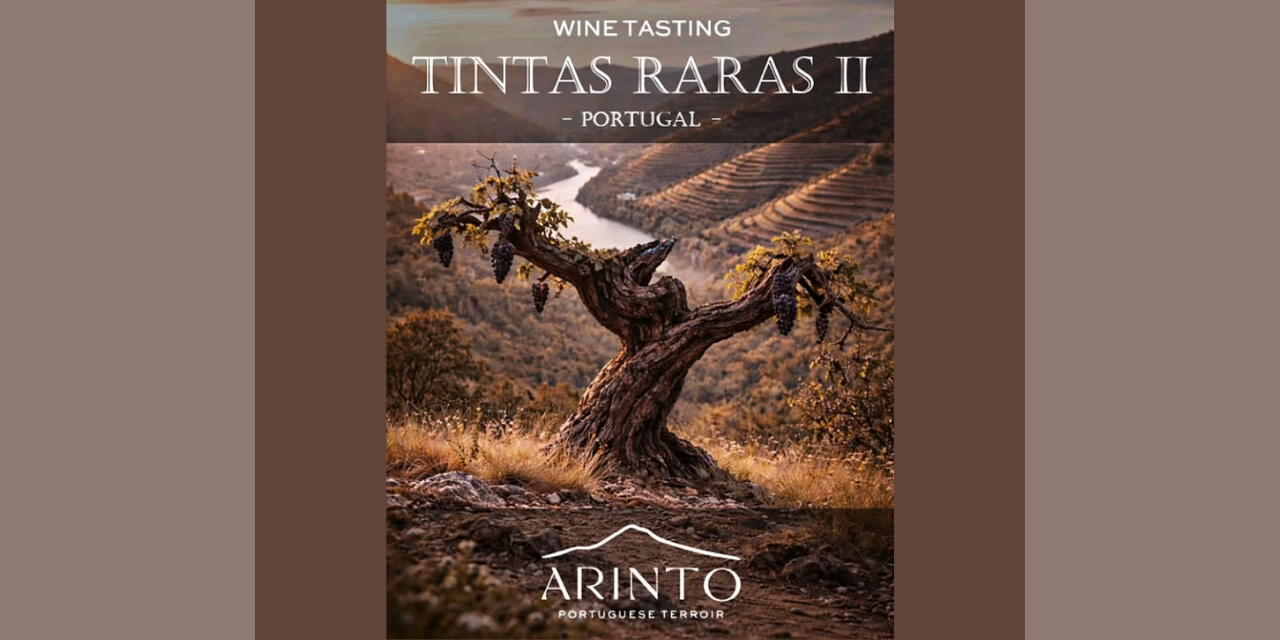 Wine Tasting Tintas Raras |Viva o Vinho