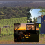 Cinema nas Vinhas – Villa Alvor