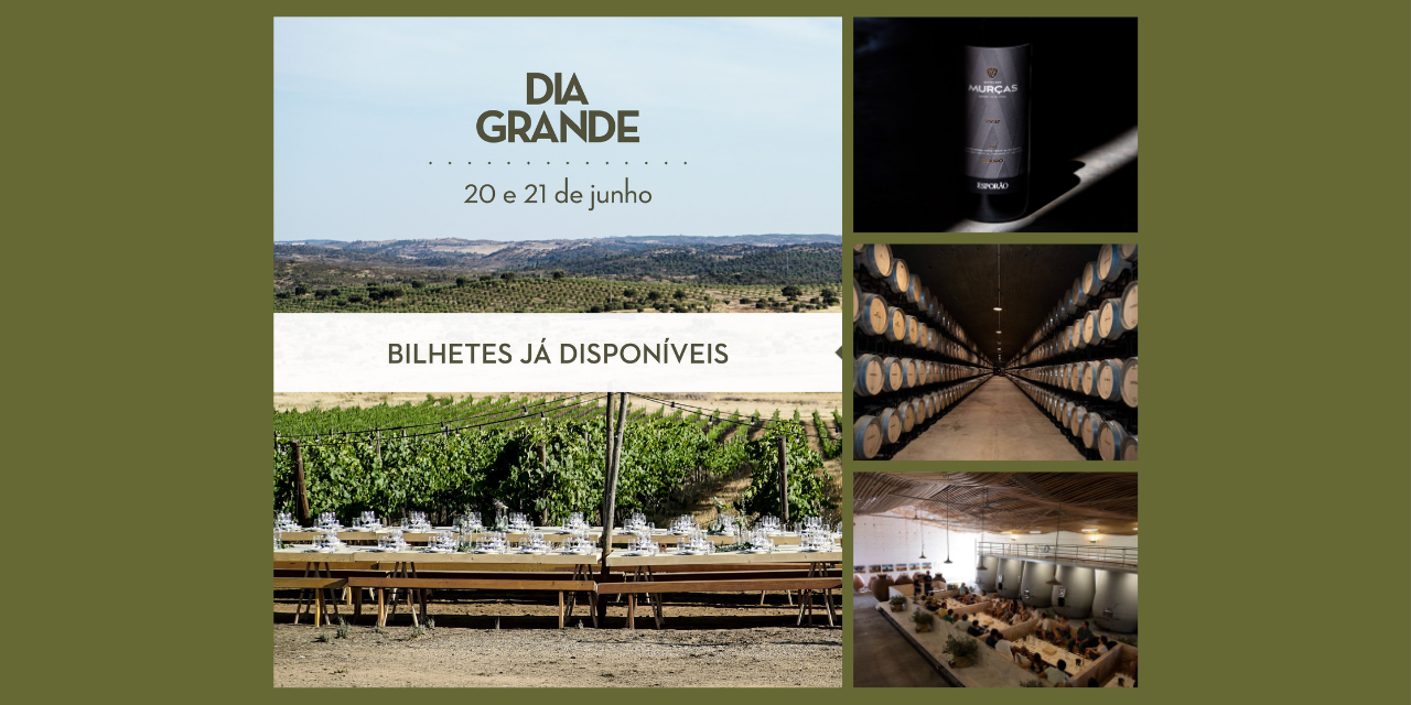 Dia Grande Esporão|Viva o Vinho