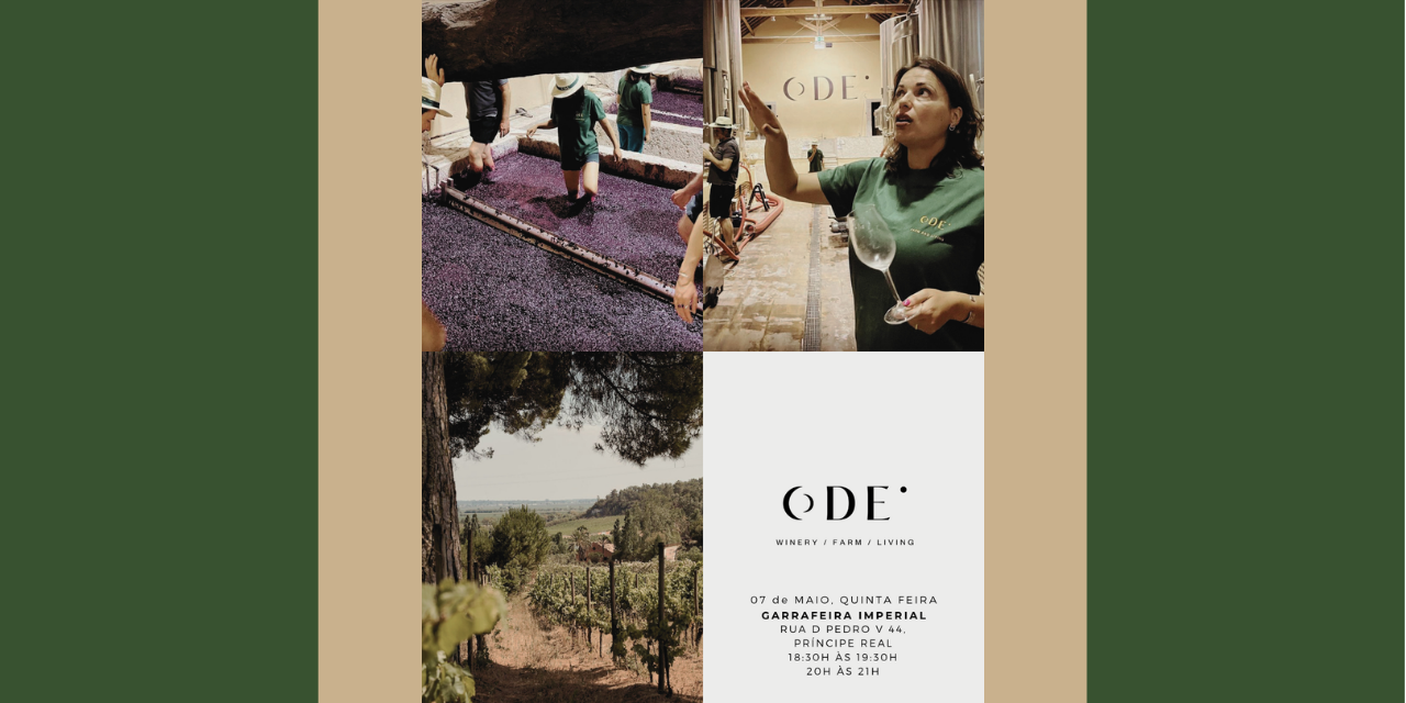 Prova ODE Winery|Viva o Vinho