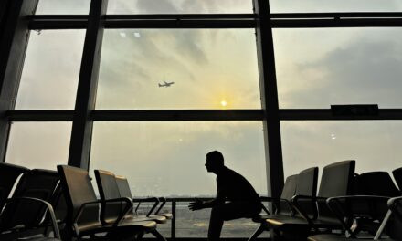 Levar Vinho no Avião: O Que Você Precisa Saber Antes de Embarcar