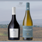 Casa Relvas aposta em novos vinhos de forte identidade e origem no Alentejo