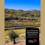 Prova de Vinhos Quinta da Vineadouro – Castas Raras