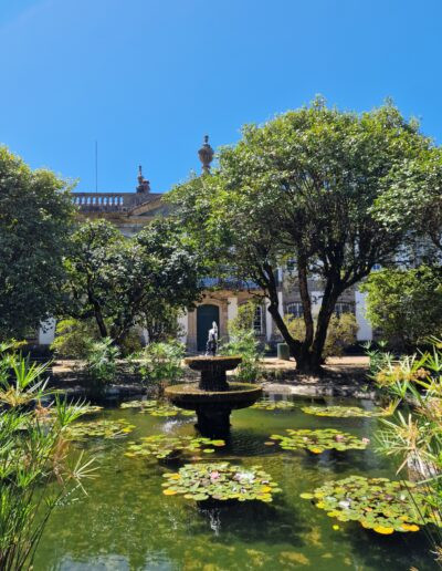 Palácio da Brejoeira - Feira do Alvarinho em Monção
