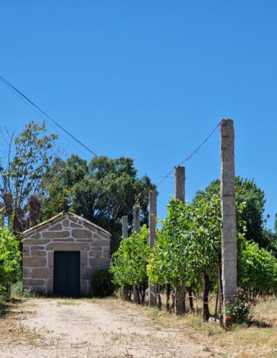 Palácio da Brejoeira - Feira do Alvarinho em Monção