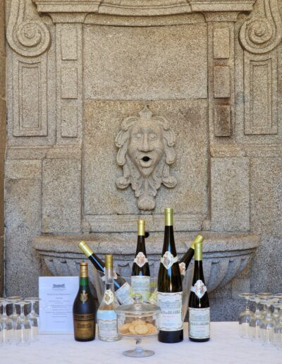 Palácio da Brejoeira - Feira do Alvarinho em Monção