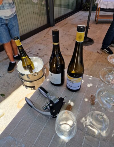 Recanto de Moulães - Feira do Alvarinho Monção
