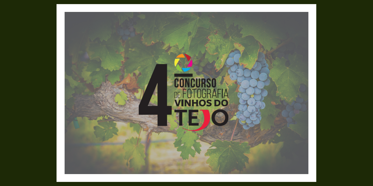 Concurso convida a olhar fotográfico sobre os vinhos e a região do Tejo