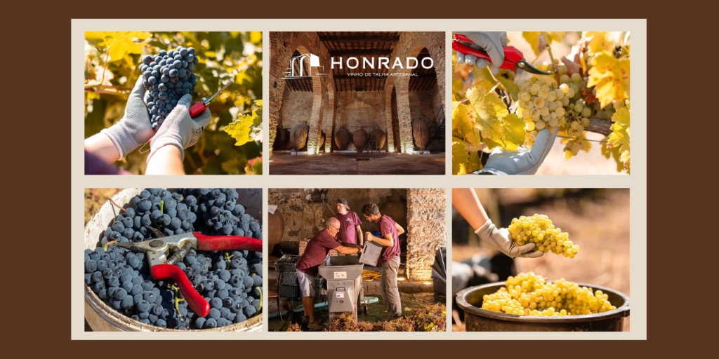 Honrado Vinho de Talha Artesanal|Viva o Vinho