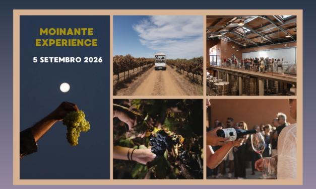 Moinante Experience – Mainova