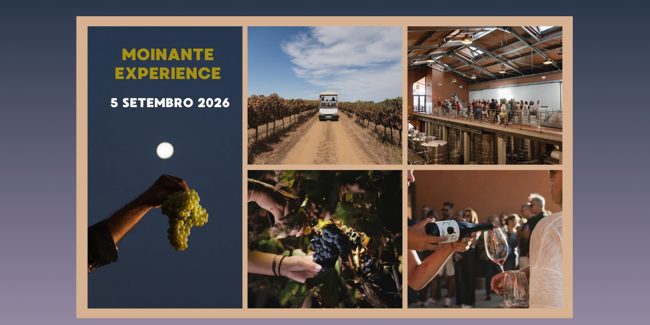 Moinante Experience Mainova|Viva o Vinho