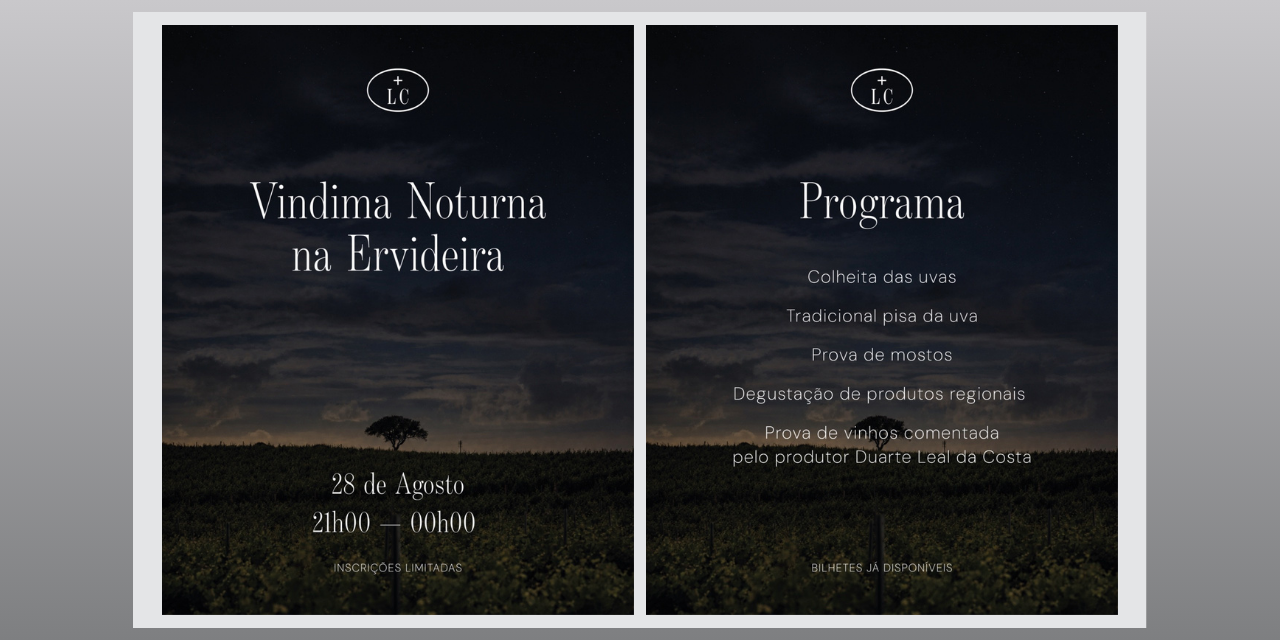 Vindima Noturna Ervideira|Viva o Vinho