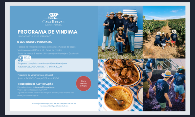 Programa de Vindimas Casa Relvas – Herdade de São Miguel