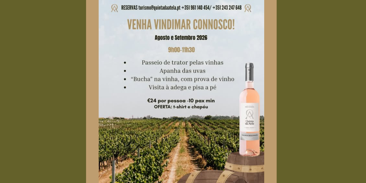 Vindimas Quinta da Atela|Viva o Vinho