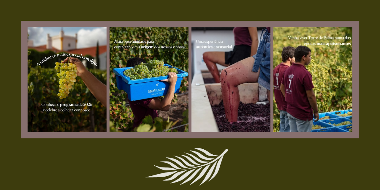 Vindimas Torre de Palma|Viva o Vinho