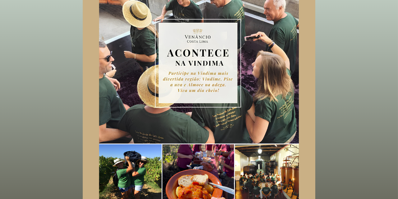 Acontece na Vindima|Viva o Vinho