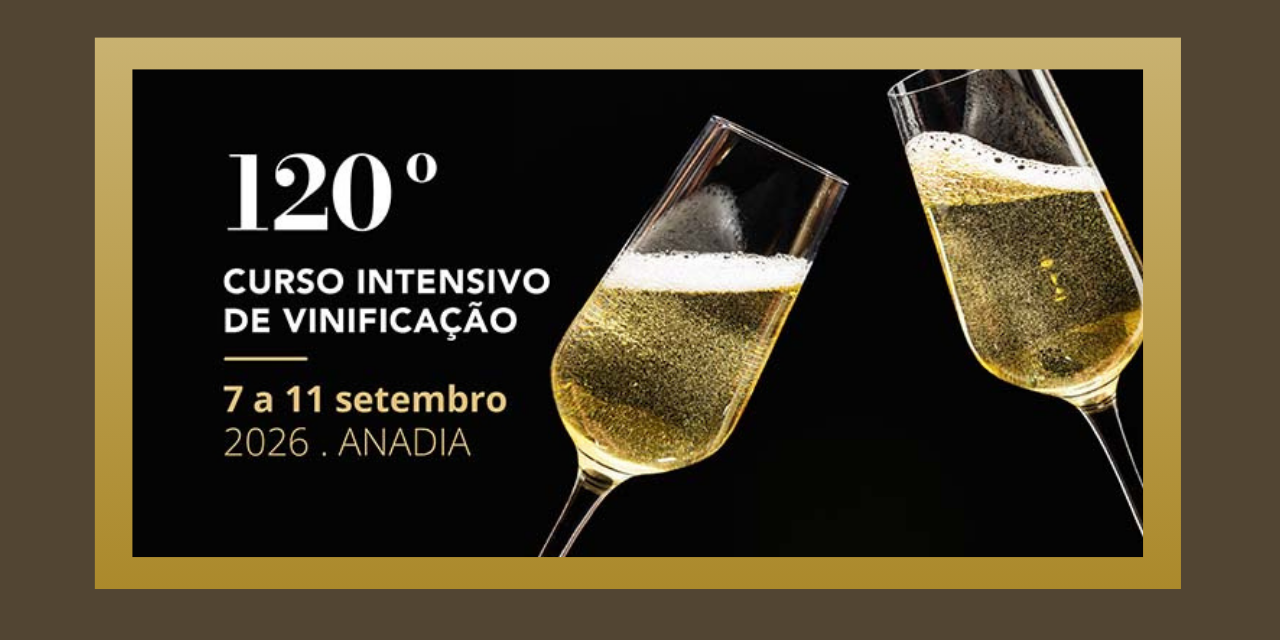 Curso Intensivo de Vinificação|Viva o Vinho