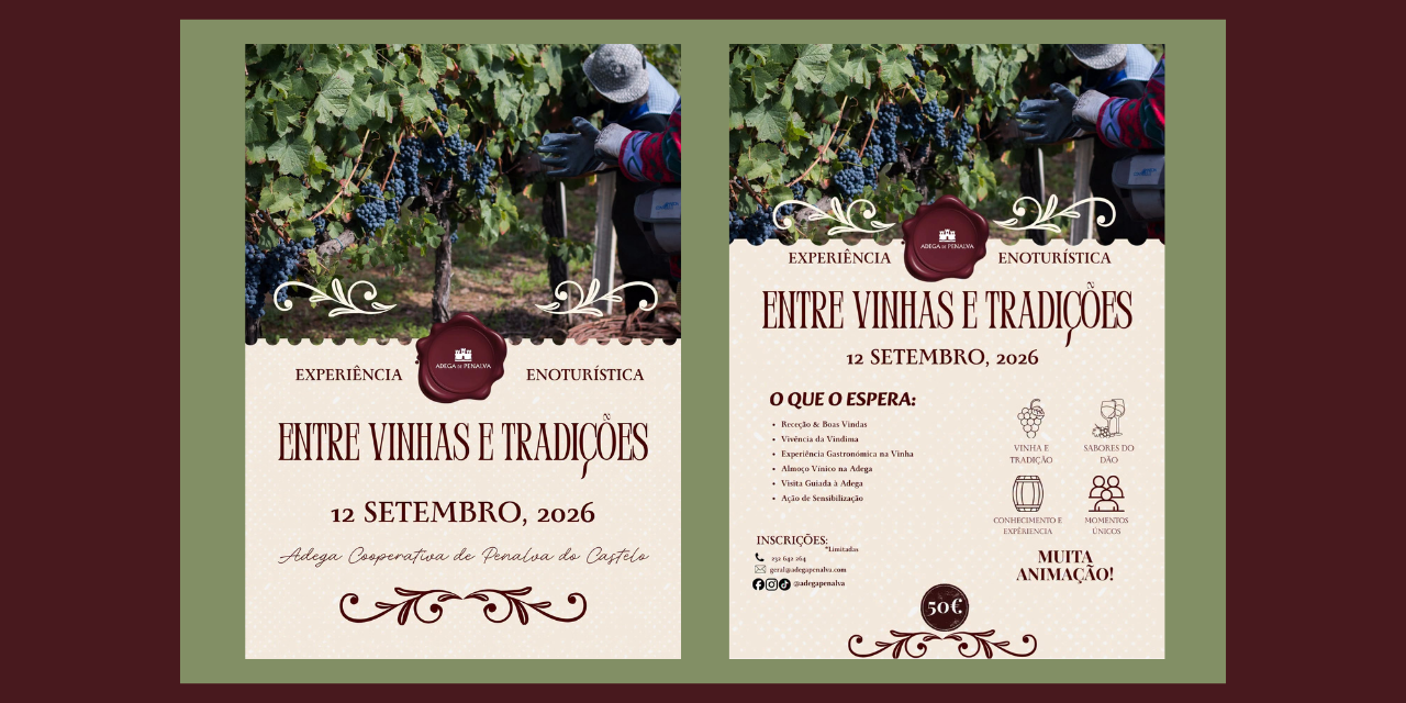 Entre Vinhas e Tradições|Viva o Vinho