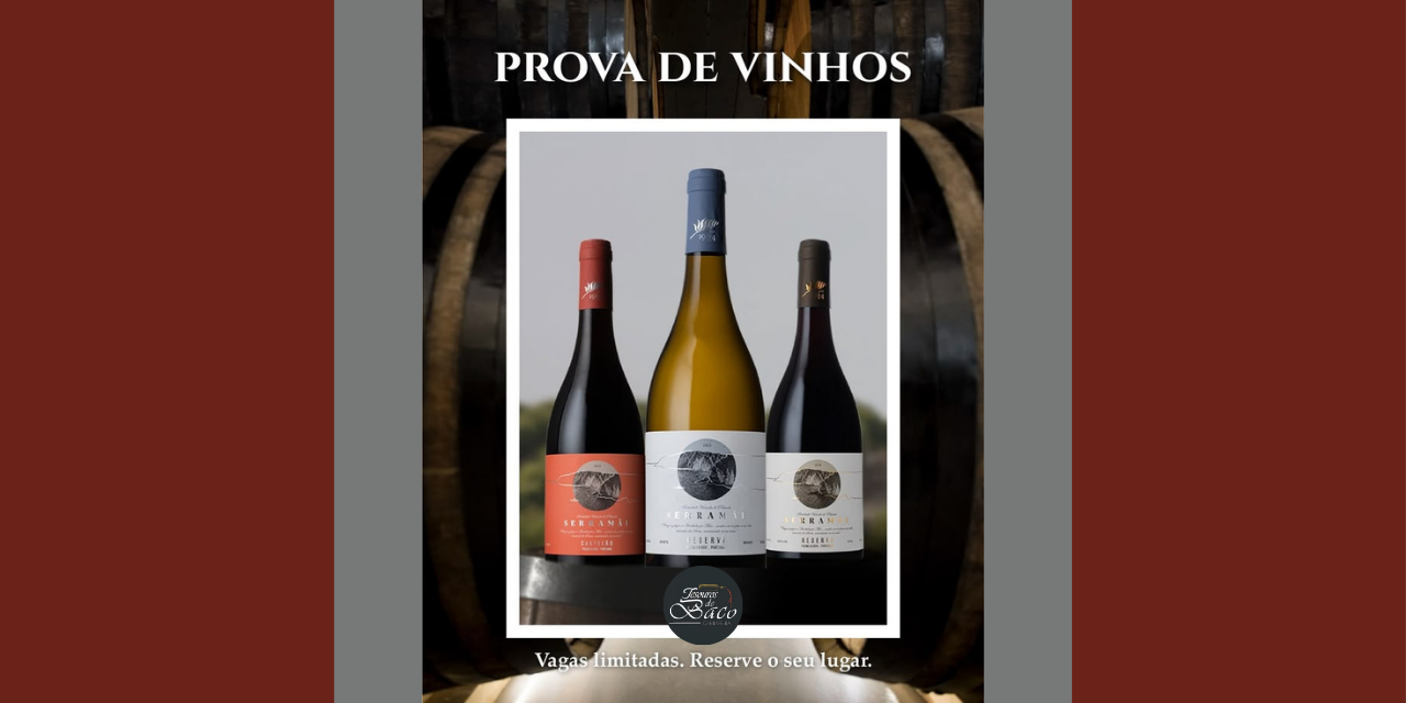 Prova Soc Vinícola Palmela|Viva o Vinho