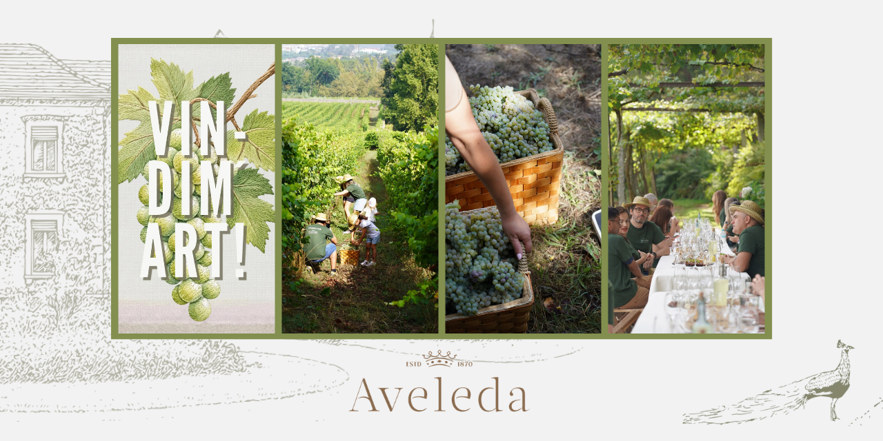 VINDIMART Aveleda|Viva o Vinho