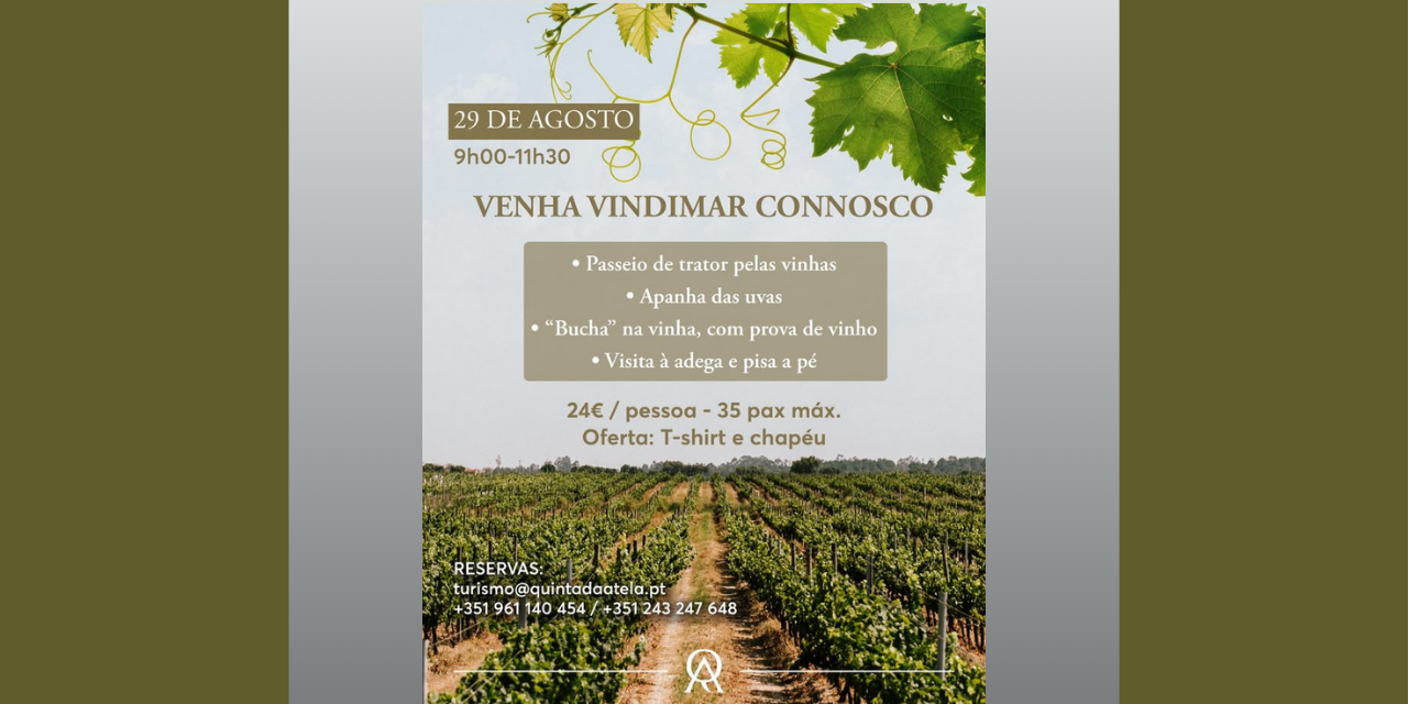 Vindima Quinta da Atela|Viva o Vinho