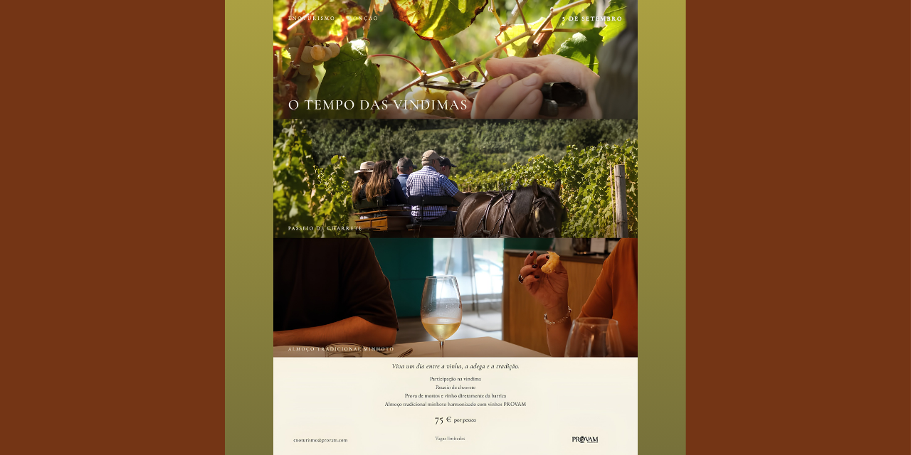 Vindimas PROVAM|Viva o Vinho