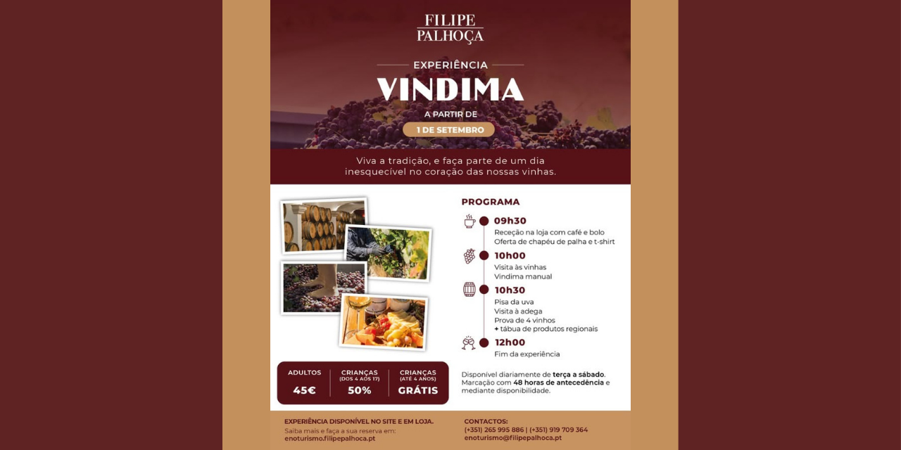 Vinima Felipe Palhoça|Viva o Vinho