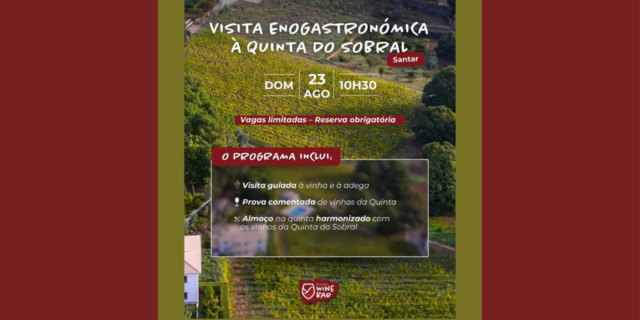 Visita Enogastronómica|Viva o Vinho