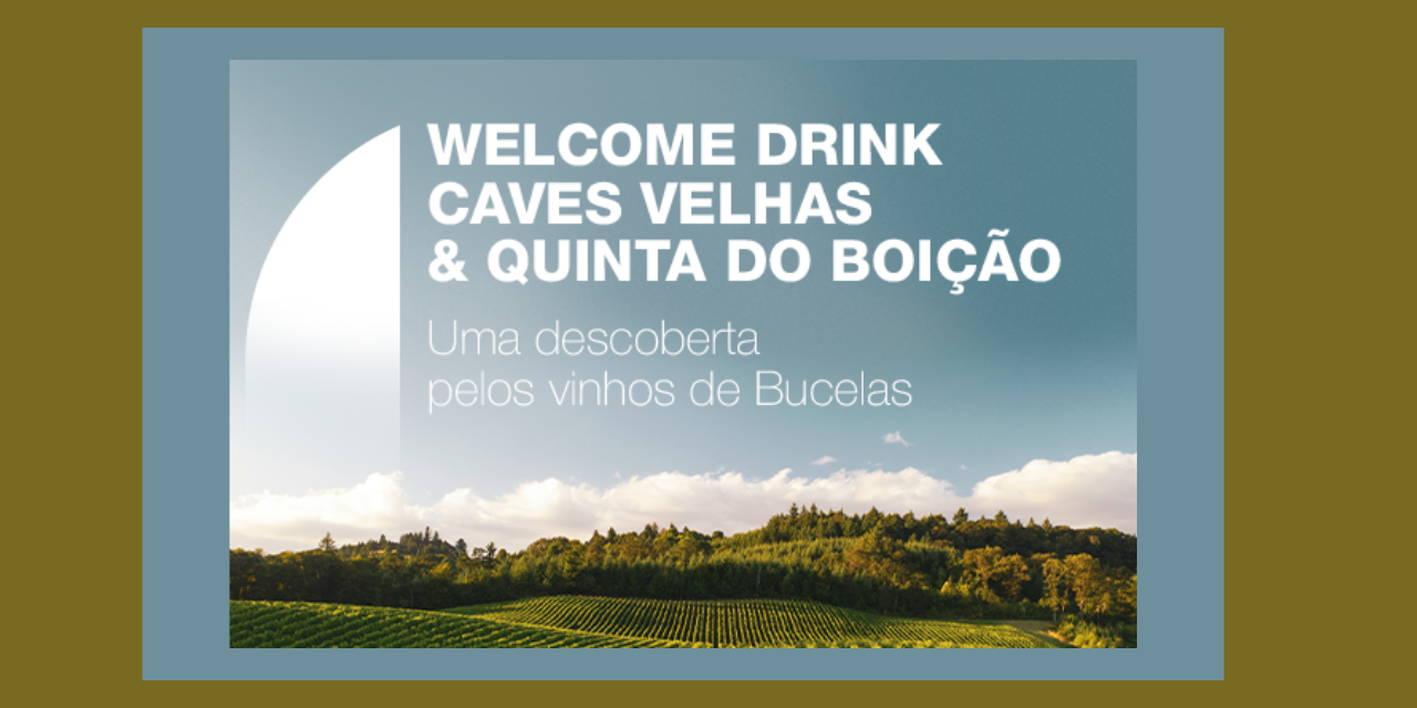 Welcome Drink GN|Viva o Vinho