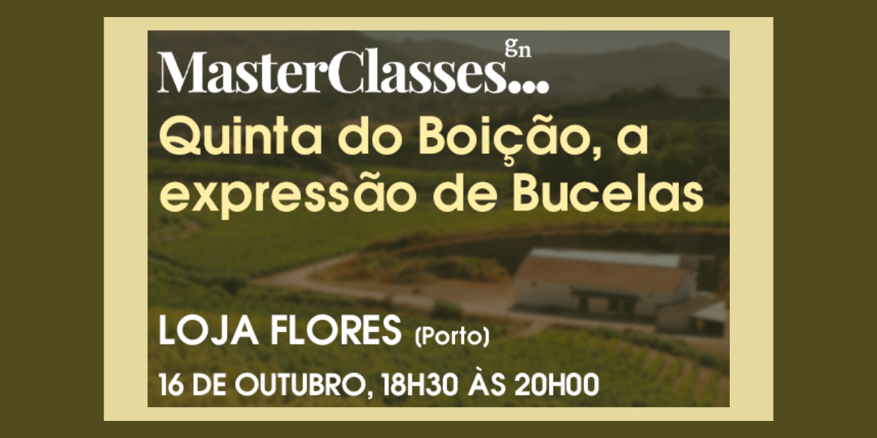 MasterClasses GN Qt do Boição|Viva o Vinho