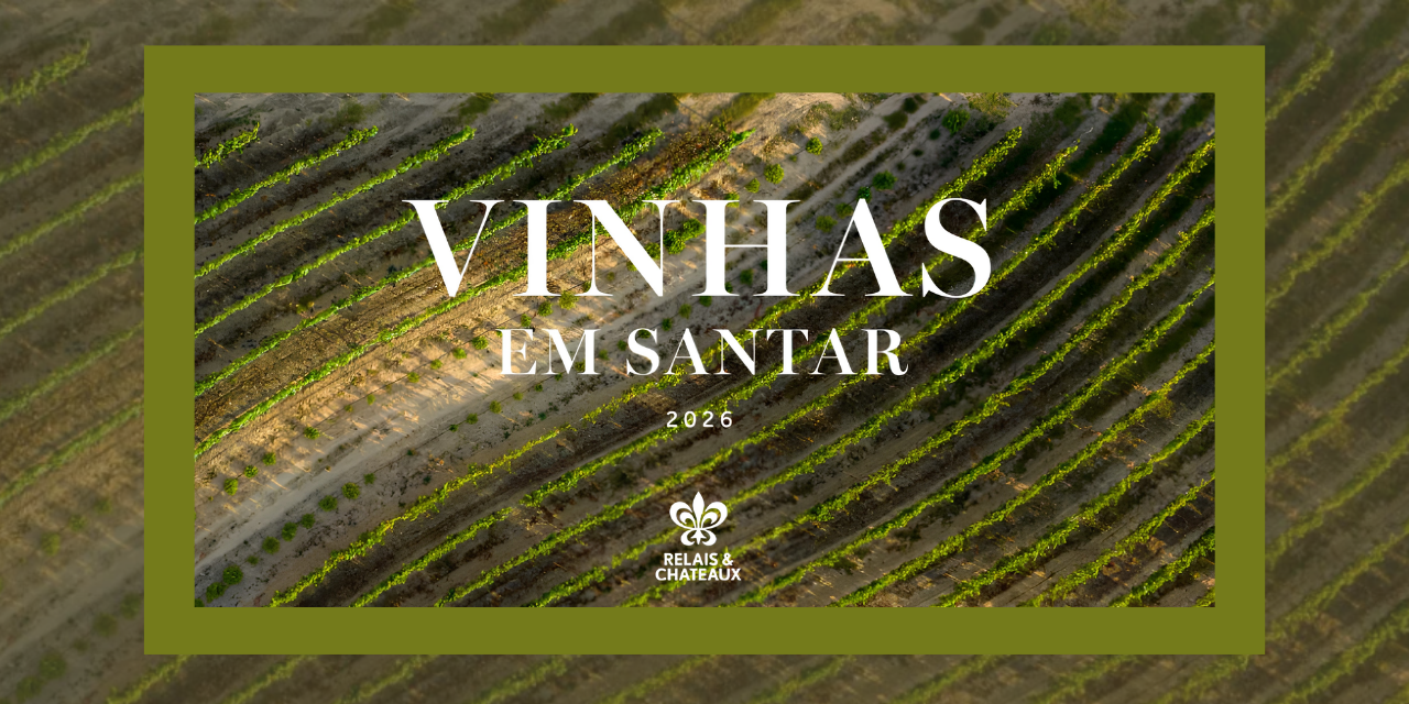 Nas Vinhas do Dão|Viva o Vinho
