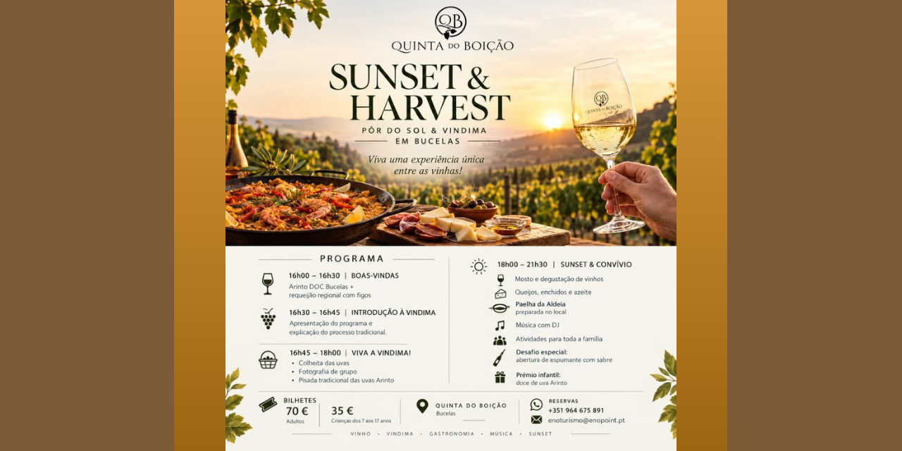 Sunset & Harvest em Bucelas|Viva o Vinho
